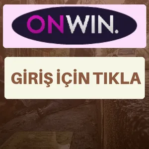 Onwin giriş